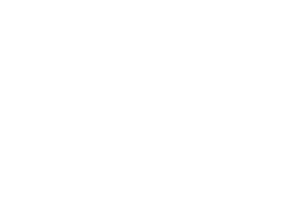 Baseball Bats