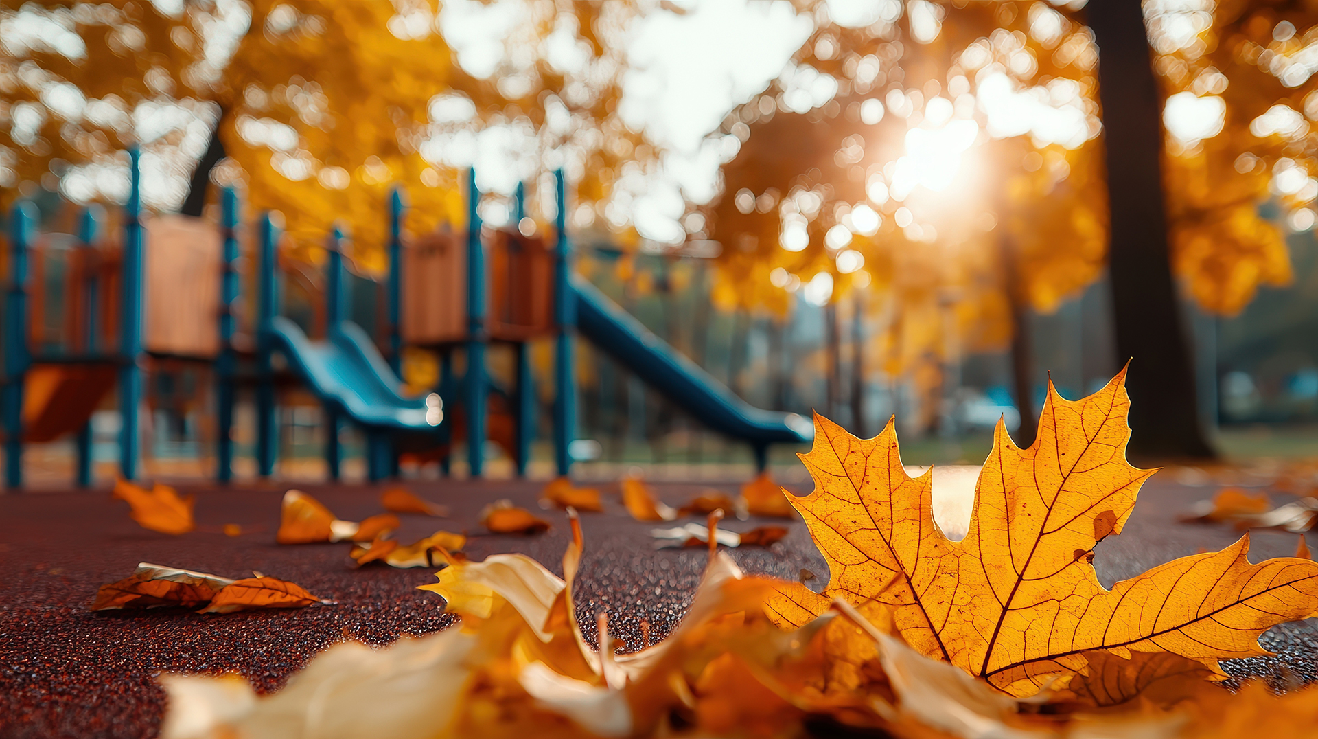 A vibrant autumn scene featuring colorful leaves in a playground with slides, illuminated by warm sunlight during fall.